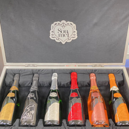 ソウメイアタッシュケース 空き瓶 6本