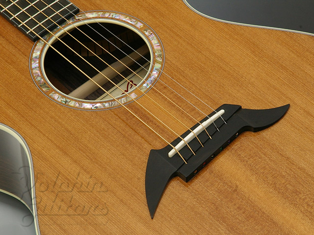 Breedlove Focus SE|ドルフィンギターズ