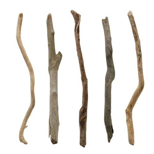 流木 【公式通販】