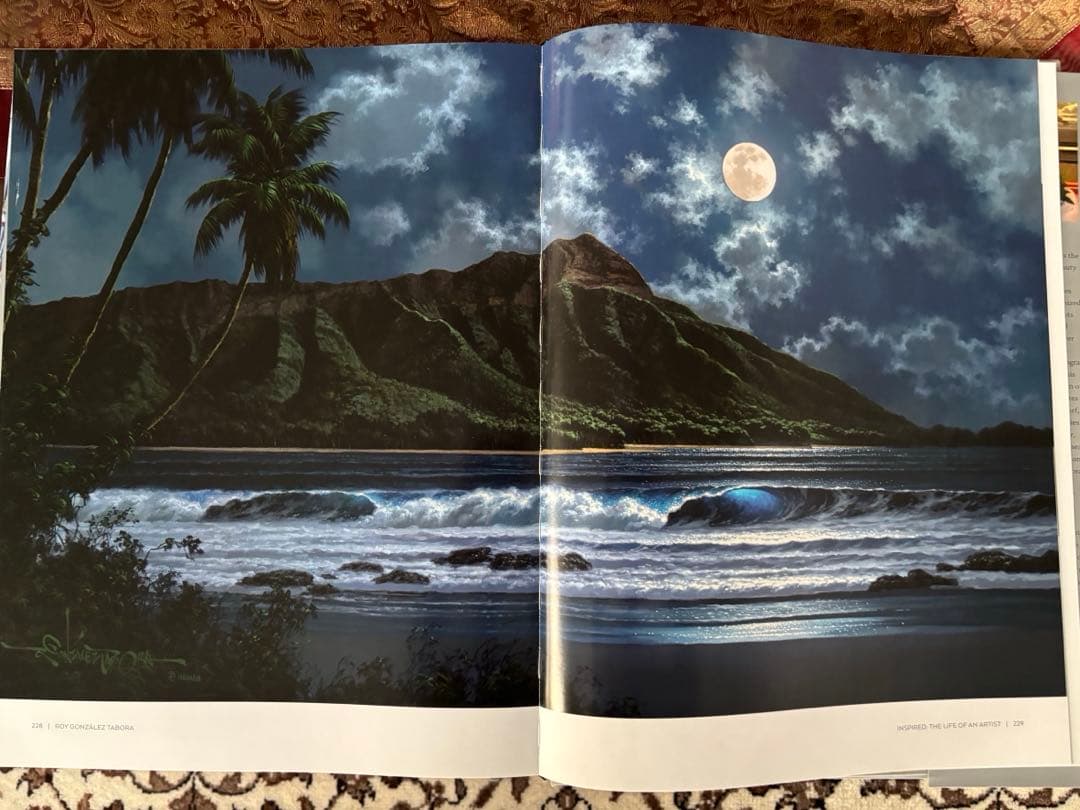 1点物 美品 ロイ.タボラ Jewel of the Night